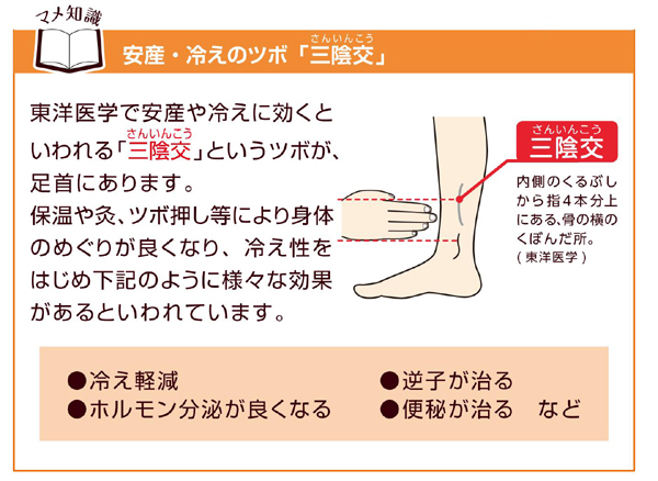 驚異の足医術　ビデオセット 導入機器 – たかの整骨院